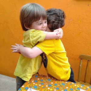 Leia mais sobre o artigo A educação socioemocional